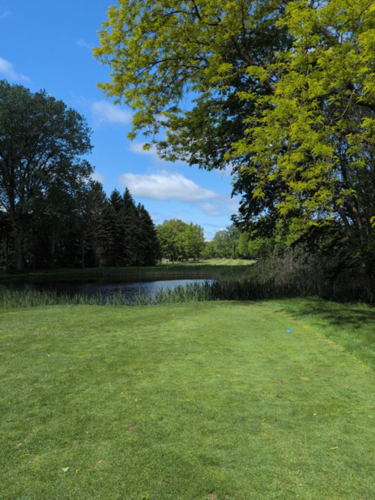 Woodside Meadows 4